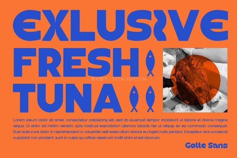 Golte现代无衬线英文标题字体